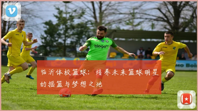 临沂体校篮球：培养未来篮球明星的摇篮与梦想之地