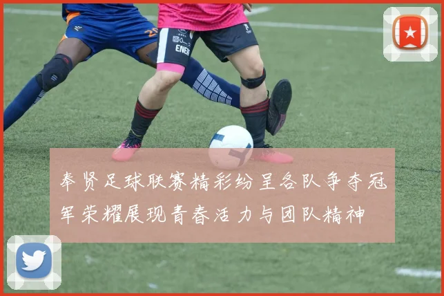 奉贤足球联赛精彩纷呈各队争夺冠军荣耀展现青春活力与团队精神