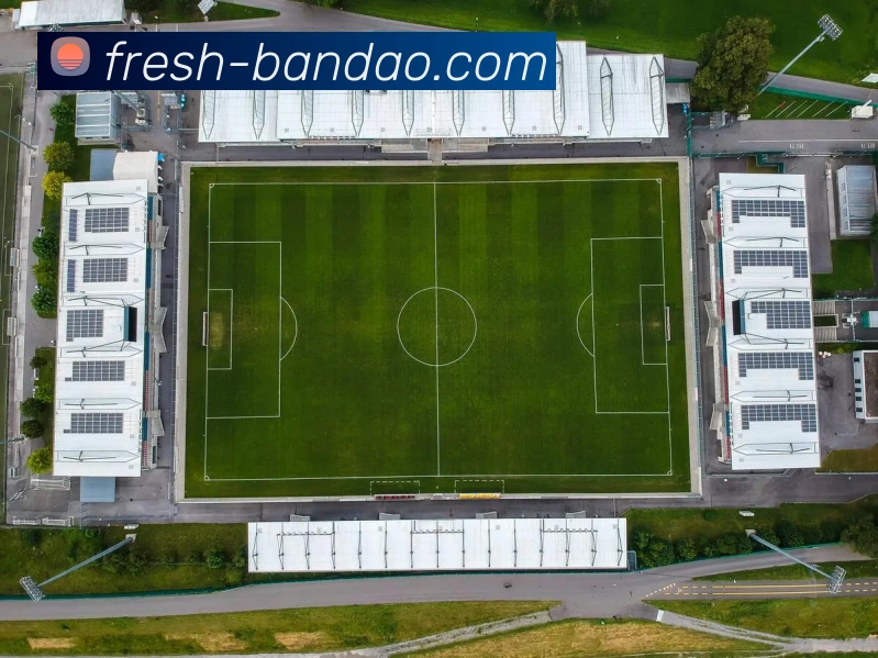 多媒体互动体验